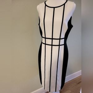 Calvin Klein Black and White Dress